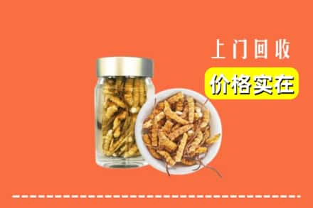 忻州静乐县回收散虫草