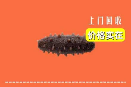 忻州静乐县回收海参