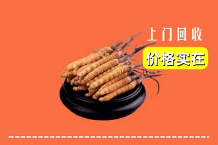 忻州静乐县回收冬虫夏草