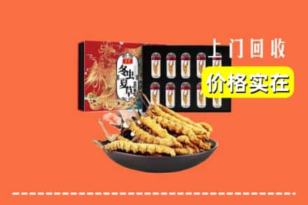 忻州静乐县回收虫草