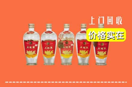 诚信求购:忻州静乐县高价回收老五粮液